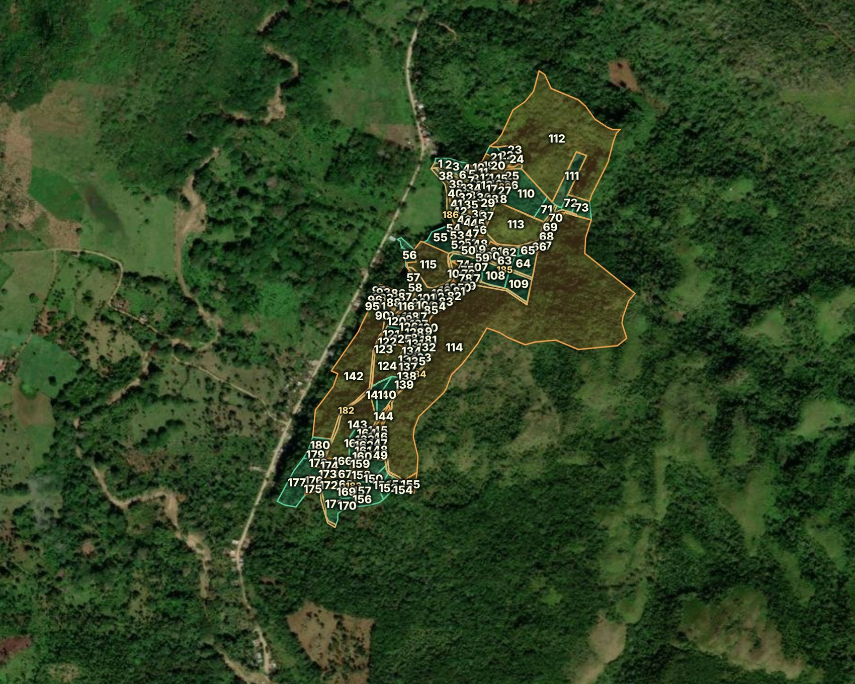 Satellite view of the El Valle estate with the 189 surveyed parcels outlined in gold